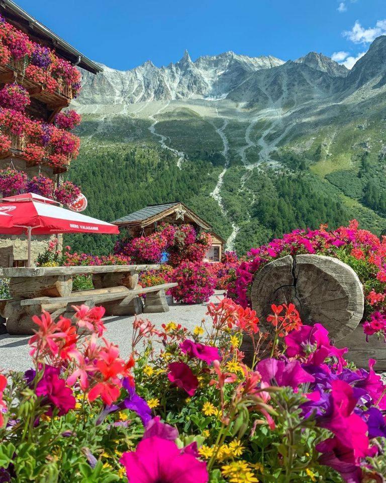 Sky Rooms, Mountainous View Saas im Prattigau Exteriér fotografie